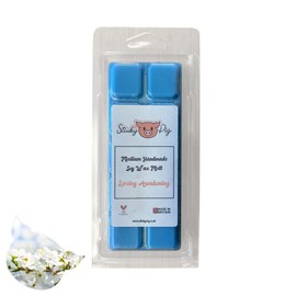 Medium Wax MELT Clamshell BAR - Snap Tart Handcrafted Soy Wax Vegan Long Lasting Highly Scented Handmade Wax Melts (Spring Awakening)