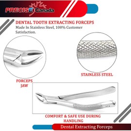 PRECISE CANADA: Dental EXTRACTING Forceps #151 PC