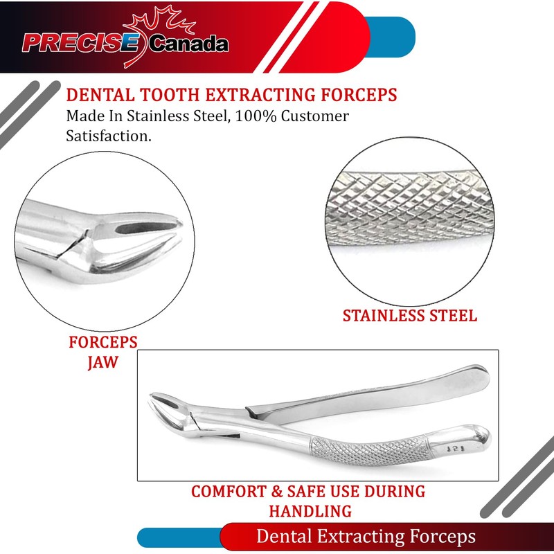PRECISE CANADA: Dental EXTRACTING Forceps #151 PC