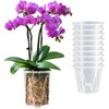 Clear Orchid Pots, 4 inch, 10-Pack