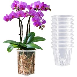 Clear Orchid Pots, 4 inch, 10-Pack