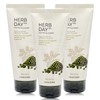 The Face Shop Herb Day 365 Cleansing Foam 170ml Mung