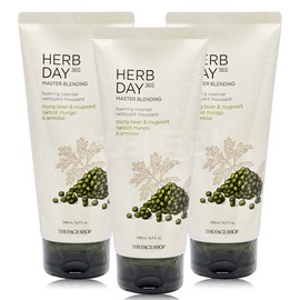 The Face Shop Herb Day 365 Cleansing Foam 170ml Mung Bean & Mugwort x 3 / 더페이스샵 허브데이 365 클렌징폼 170ml 녹두앤쑥 X 3개