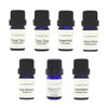 e-aroma Aromatherapy Test Grade 1 Learning While Using Essential Oils,