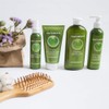NATURTINT CHP 300ML