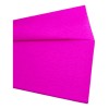 10 Papel Crepe Un Color 200cm X 50cm Color Fiusha