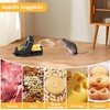 HASA zone Mouse Trap Snap Trap Pack of 2 Large