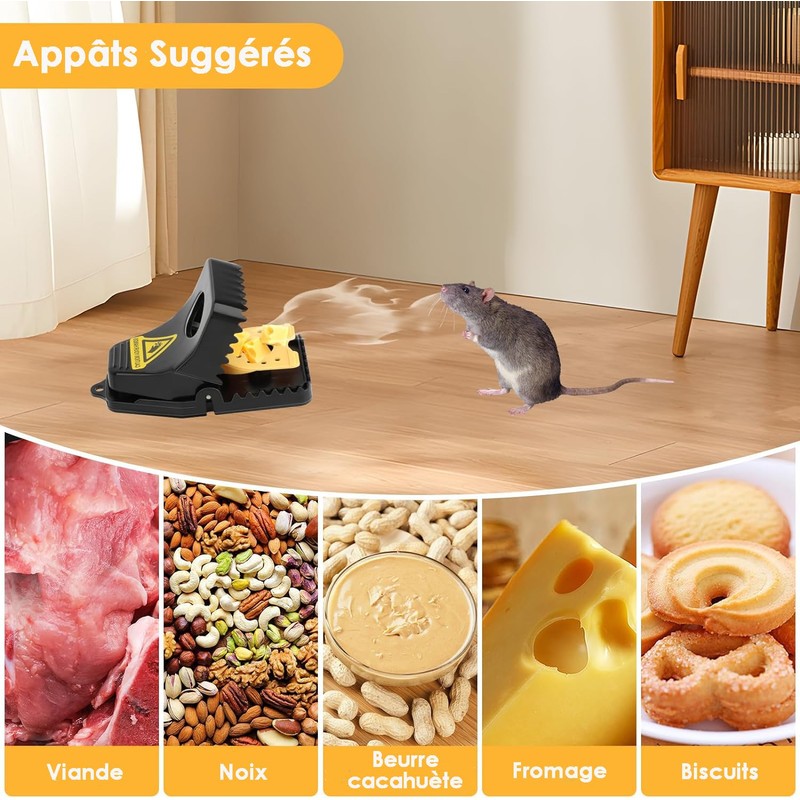 HASA zone Mouse Trap Snap Trap Pack of 2 Large