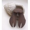Henry the Hermit Crab Sea Ornament by Shoeless Joe
