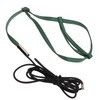 Bird Harness Leash Adjustable Elastic Flying Training Parrot Traction Rope