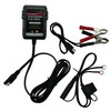 Banshee TE4-0219 12V 6V 750mA Automatic Battery Charger, Battery Maintainer,