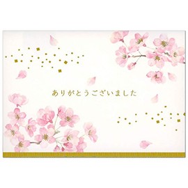 Sanrio JSG18-3 SANRIO 869252 Message Card, Graduation, Watercolor Cherry Blossom Flower Appreciation, Greeting Card, Overseas Transportation Available