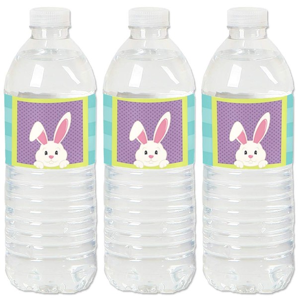 Hippity Hoppity - Easter Bunny Party Water Bottle Sticker Labels