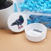 'Cute Pigeon' Compact Pencil Sharpener (PS00044701)