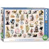 Eurographics EG65000991 Yoga Kittens Puzzle, Various, 48 x 68 cm