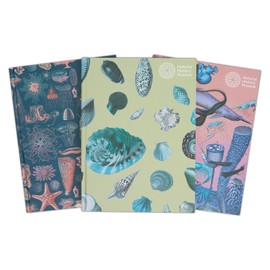 Natural History Museum A5 Shells Hardback Sketchbook, White Paper, Ideal Sketchbook for Adults, Art Notebook for Artists and Kids, Creative Book for Paint, Pencil, Drawing, Doodling, and Colouring