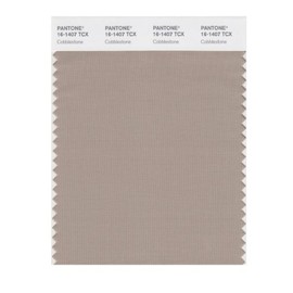 PANTONE Smart 16-1407X Color Swatch Card, Cobblestone