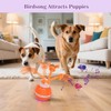 Interactive Smart Automatic Moving Electric Rolling Birdsong Squeaky Durable Stimulating