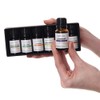 HealthAndYoga Natural Aroma Essential Oils – Superior Distilled Oils -