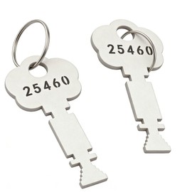 Honkador 25460 Fire Alarm Panel Key,Fire Alarm Box Key for Gamewell,with Key Ring, for Rescue, Silver, Plum Blossom Art Design, 2-Pack