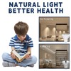 GOHDLAMP MR11 3W LED Bulbs 6-Pack - Warm White 2700K,