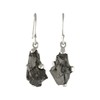 Starborn Rohstein Elite Shungite Earrings in 925 Sterling Silver, Gemstone