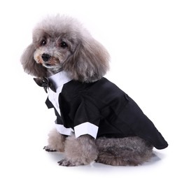 YOASONEK Dog Tuxedo Dog Formal Tuxedo Suit Wedding Dog Clothes Cat Clothes Tailwear Tuxedo Dog Shirt Puppy Clothes Black Bow Tie Wedding Pet Suit Cat Small Dog Medium Size Dog (M)
