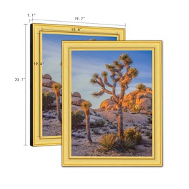 EKMAX 16x20 Gold Picture Frame with Plexiglass – Ornate Gold & Black Vintage Frame, No Mat, Wall Mount Ready, Classic Home & Office Décor