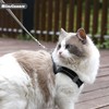 Cat Harness and Leash Set, Adjustable Kitten Puppy Harness with