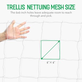 iPower 5 x 15FT Plant Trellis Netting, Heavy-Duty Polyester Grow Net with Square Mesh for Climbing Plants, Vegetables, Fruits, Flowers, Vines