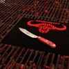 GIESSER seit 1776 - Made in Germany - Spickmesser 10