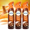 Febreeze Air Effects, Air Freshner Limited Edition Fall Fresh Scents,