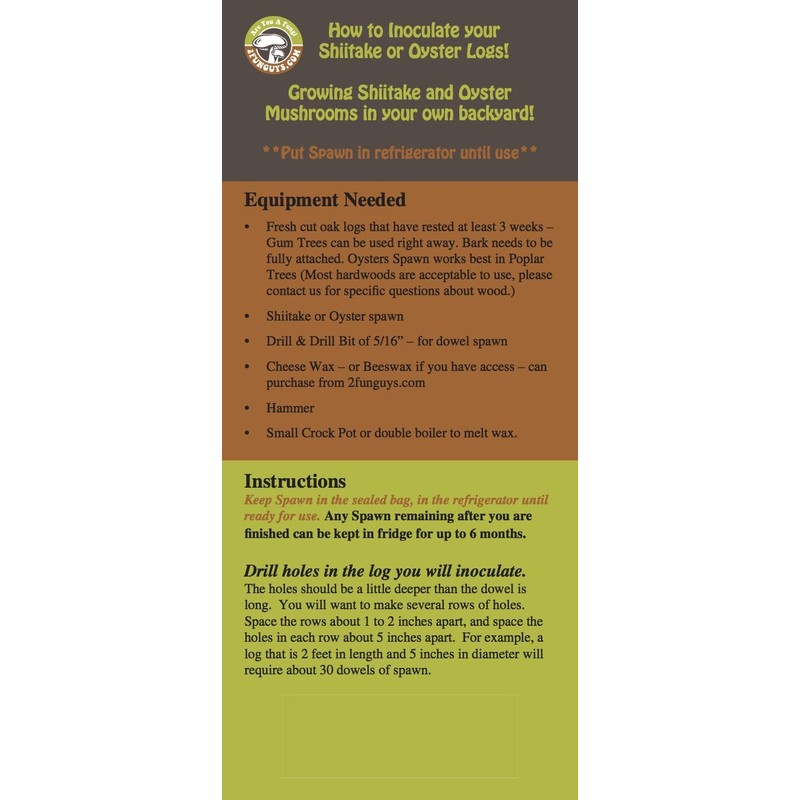 100 Shiitake 100 Mushroom Plug Spawn Edible Mycelium Plugs