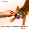 Furmatic Rope Dog Toys for Small and Medium Dogs |