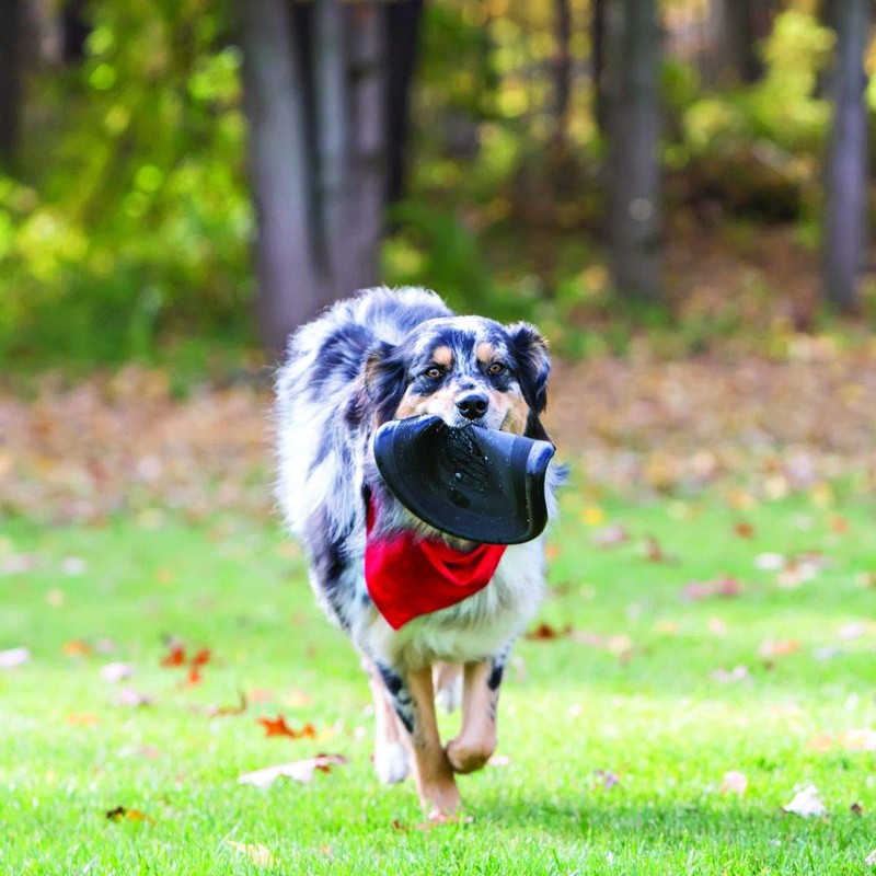 KONG Extreme Flyer - Dog Toy Supports Healthy Exercise -