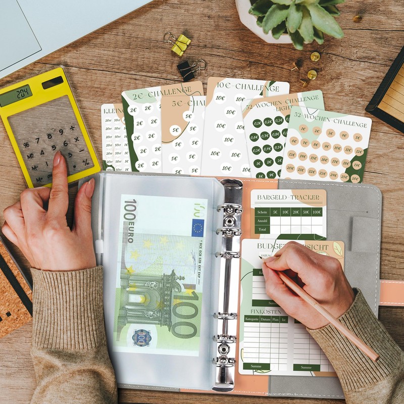 BIROYAL Budget Planner German | Budget Binder A6 Suede |