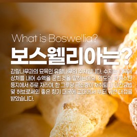 CNB Very Good Boswellia 90 tablets, 2 bottles, 4 boxes (12 months supply) Boswellia extract powder joint nutrition / CNB 참좋은 보스웰리아 90정 2병 4박스 (12개월분) 보스웰리아 추출분말 관절영양제