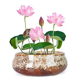 Lotus Bowl Planter - 8 Inch Large Lotus Flower Bowl for Water Plants, Ceramic Hydroponic Planter Water Lily Bowl for Planting Aquatic and Indoor Succulent Plants and Bonsai