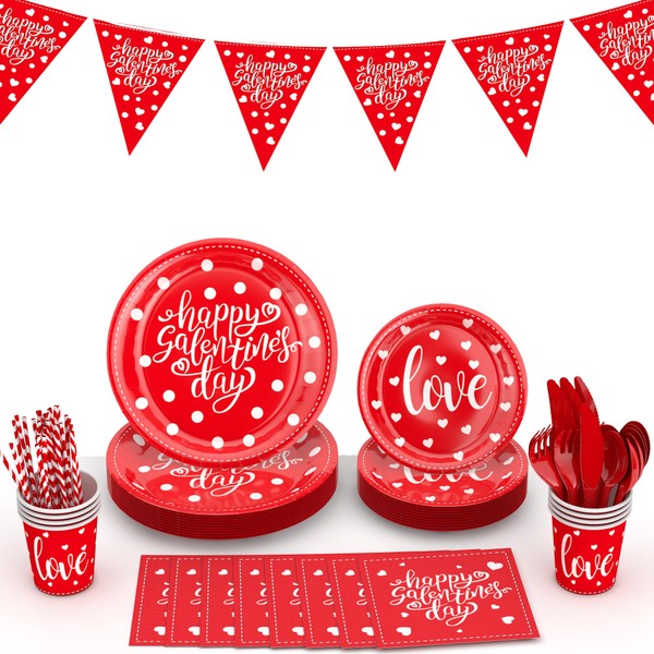 Galentines Day Party Decorations,Happy Galentines Day Plates and Cups Napkins