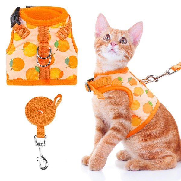 BINGPET Cat Harness with Leash Escape Proof - Fashionable Mesh