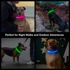 Light Up Dog Collar, Multicolor LED Dog Collar with 7