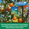 Monterey LG8920 Citrus Leafminer Trap and Lure, Pack of 2,