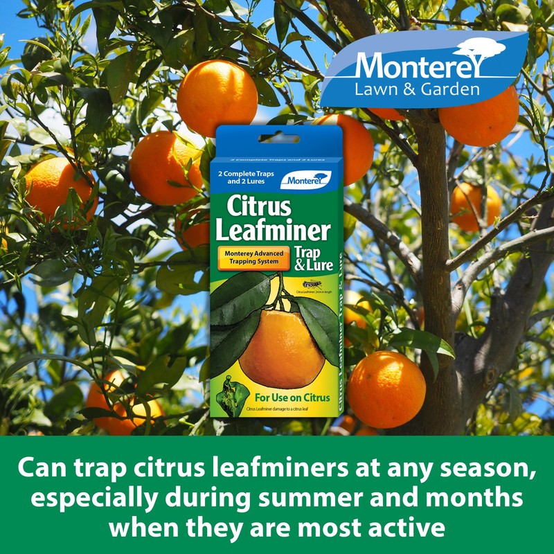 Monterey LG8920 Citrus Leafminer Trap and Lure, Pack of 2,