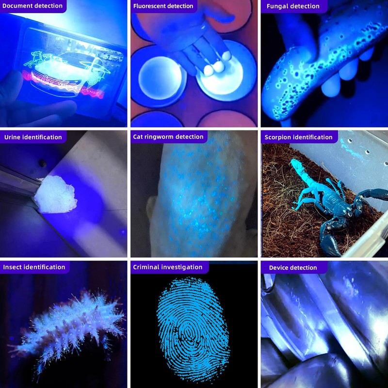 LIGHTFE Blacklight uv Flashlight 365nm UV304 UV Flashlight Rechargeable can
