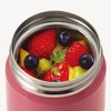 Asvel Luntus Stainless Steel Insulated Soup Bottle