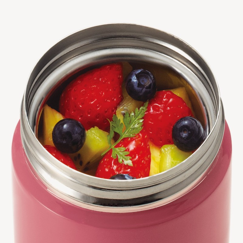 Asvel Luntus Stainless Steel Insulated Soup Bottle