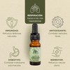 ORE Aceite de Orégano Silvestre, 10ml, 80% Carvacrol, Suplemento Aceite