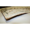Wilson Birch Bark (12" x 12" 2 Pack)