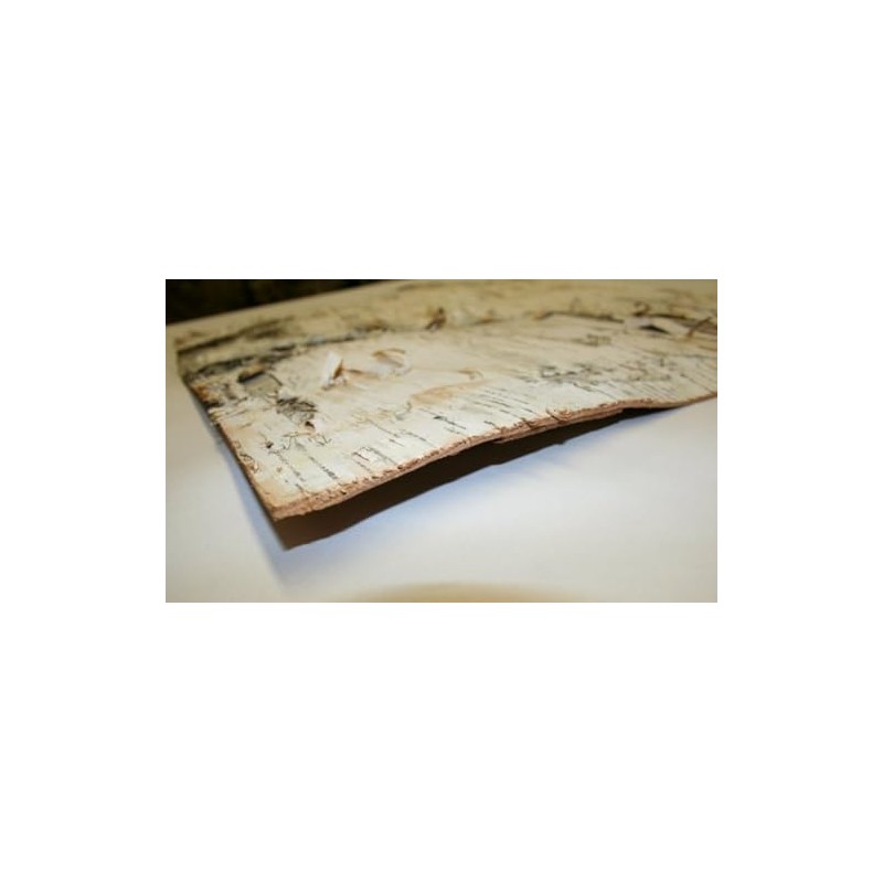 Wilson Birch Bark (12" x 12" 2 Pack)
