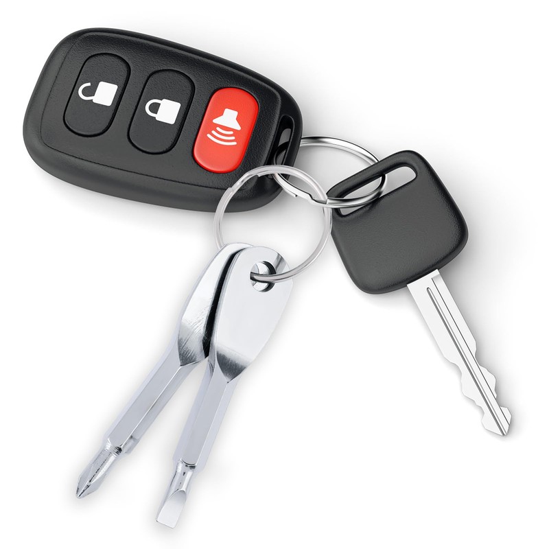 Amaxiu Mini Screwdriver Keychain, 2 Pieces Portable Phillips Flathead Screwdriver